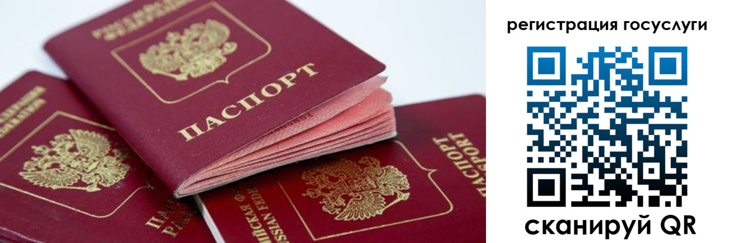 прописка в квартире в Заречном